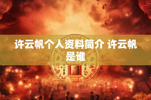 许云帆个人资料简介 许云帆是谁
