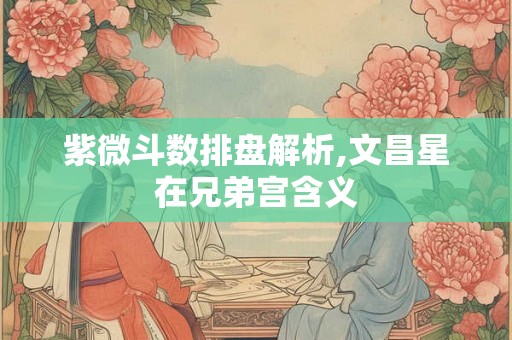 紫微斗数排盘解析,文昌星在兄弟宫含义 紫微斗数排盘解析,文昌星在兄弟宫含义