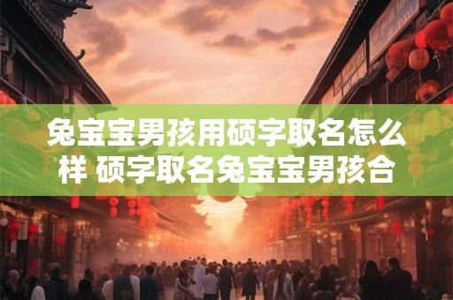 兔宝宝男孩用硕字取名怎么样 硕字取名兔宝宝男孩合适吗