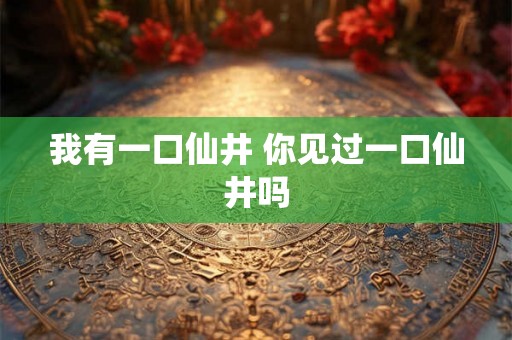 我有一口仙井 你见过一口仙井吗