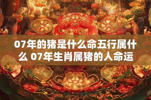 07年的猪是什么命五行属什么 07年生肖属猪的人命运如何其五行属性是什么