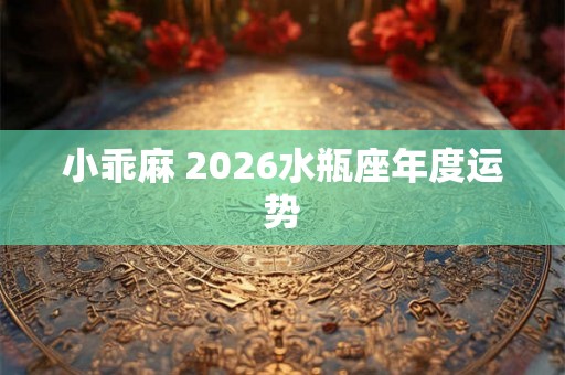 小乖麻 2026水瓶座年度运势