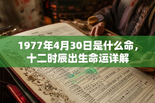 1977年4月30日是什么命，十二时辰出生命运详解