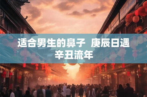 适合男生的鼻子  庚辰日遇辛丑流年