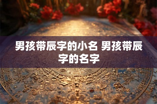 男孩带辰字的小名 男孩带辰字的名字