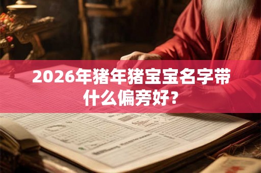 2026年猪年猪宝宝名字带什么偏旁好？