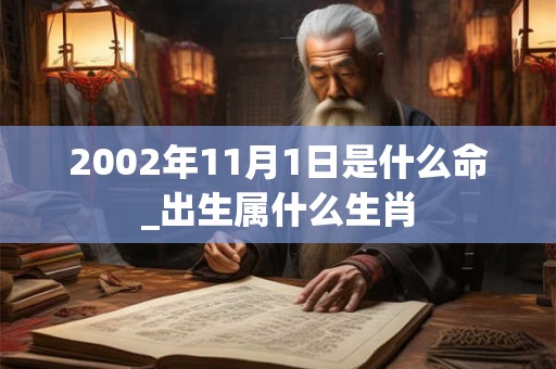 2002年11月1日是什么命_出生属什么生肖