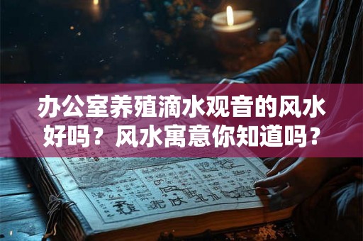 办公室养殖滴水观音的风水好吗？风水寓意你知道吗？