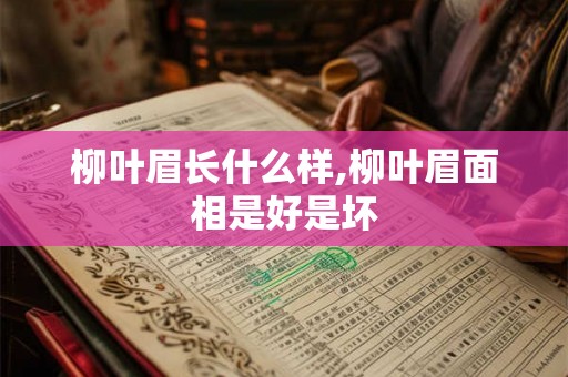 柳叶眉长什么样,柳叶眉面相是好是坏