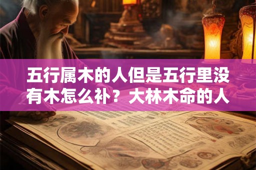 五行属木的人但是五行里没有木怎么补？大林木命的人适合做什么行业？