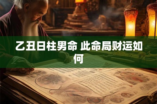 乙丑日柱男命 此命局财运如何