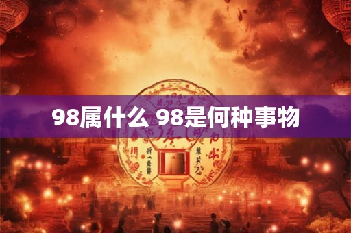 98属什么 98是何种事物