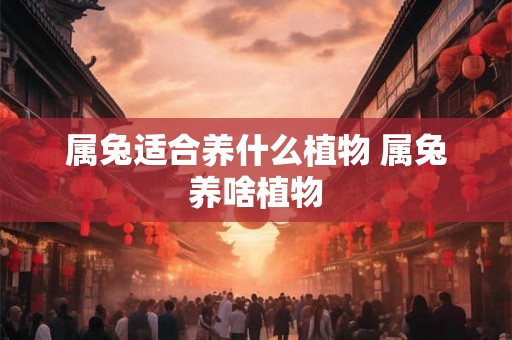 属兔适合养什么植物 属兔养啥植物