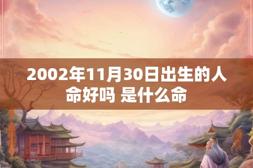 2002年11月30日出生的人命好吗 是什么命