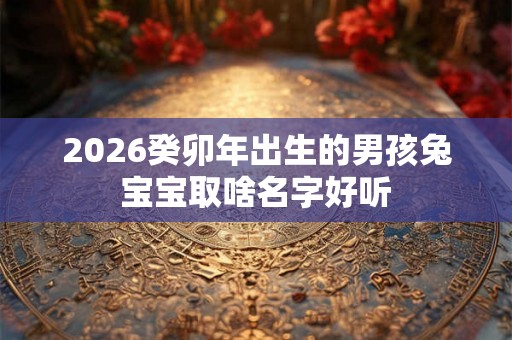 2026癸卯年出生的男孩兔宝宝取啥名字好听