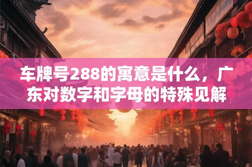 车牌号288的寓意是什么，广东对数字和字母的特殊见解