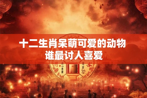 十二生肖呆萌可爱的动物 谁最讨人喜爱