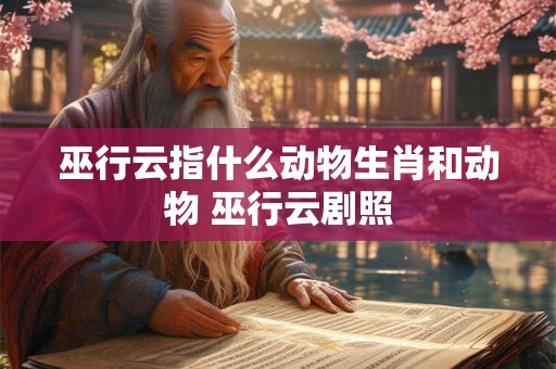 巫行云指什么动物生肖和动物 巫行云剧照