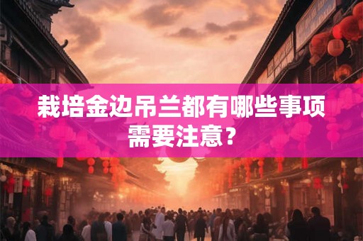 栽培金边吊兰都有哪些事项需要注意? 栽培金边吊兰都有哪些事项需要注意?