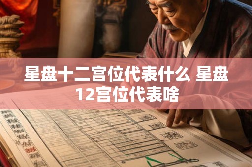 星盘十二宫位代表什么 星盘12宫位代表啥