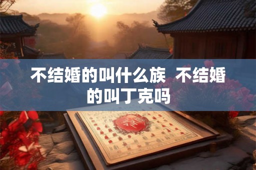 不结婚的叫什么族  不结婚的叫丁克吗