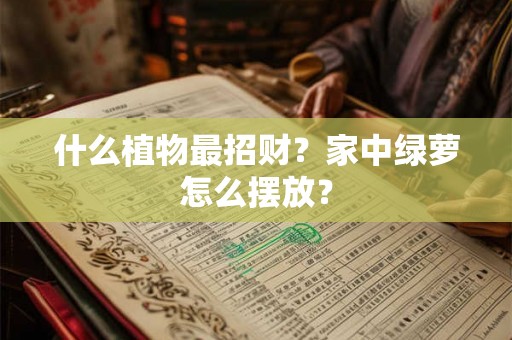 什么植物最招财？家中绿萝怎么摆放？