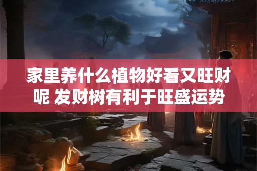 家里养什么植物好看又旺财呢 发财树有利于旺盛运势