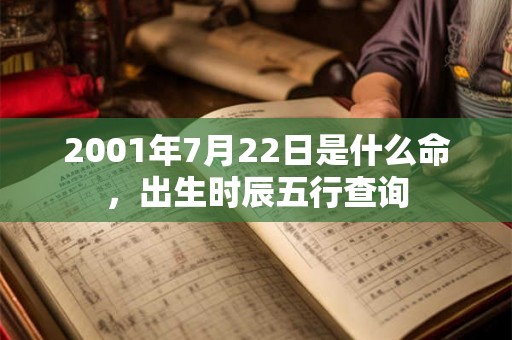 2001年7月22日是什么命，出生时辰五行查询