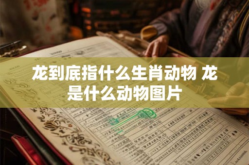 龙到底指什么生肖动物 龙是什么动物图片