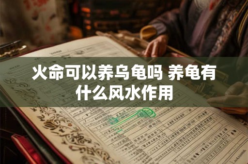 火命可以养乌龟吗 养龟有什么风水作用