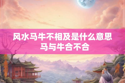 风水马牛不相及是什么意思  马与牛合不合