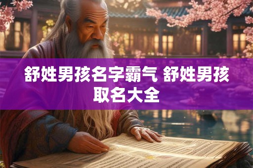 舒姓男孩名字霸气 舒姓男孩取名大全