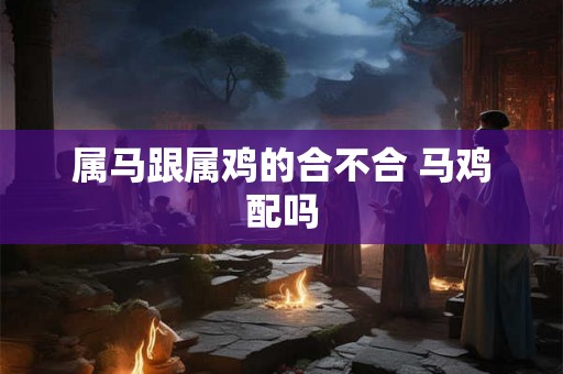 属马跟属鸡的合不合 马鸡配吗 属马跟属鸡的合不合 马鸡配吗