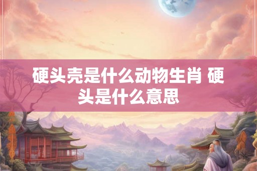 硬头壳是什么动物生肖 硬头是什么意思 硬头壳是什么动物生肖 硬头是什么意思