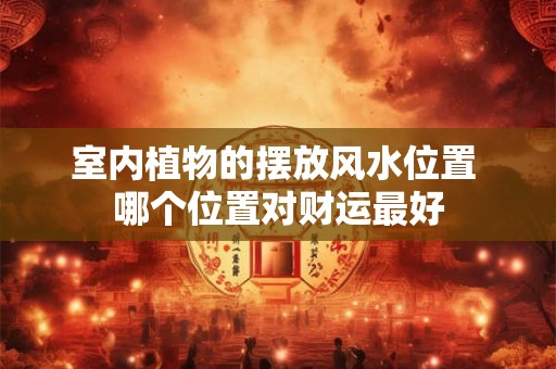 室内植物的摆放风水位置 哪个位置对财运最好