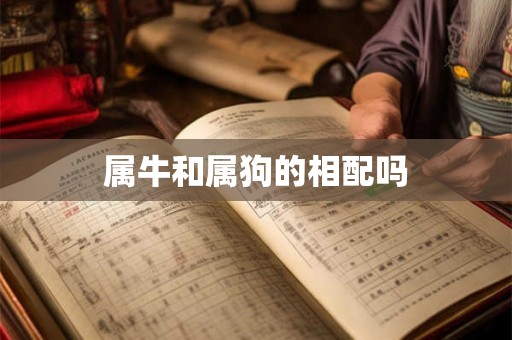 属牛和属狗的相配吗