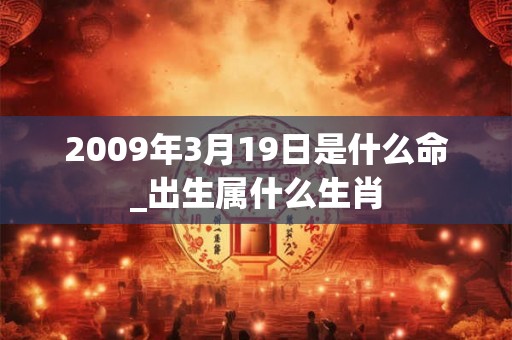 2009年3月19日是什么命_出生属什么生肖