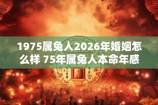 1975属兔人2026年婚姻怎么样 75年属兔人本命年感情运