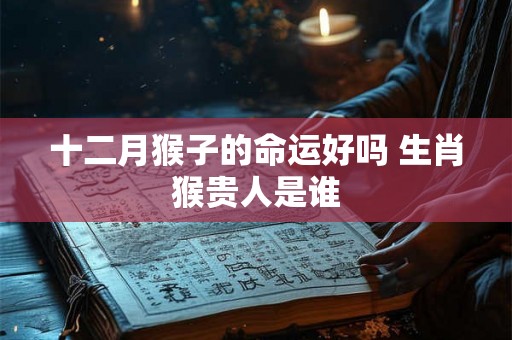 十二月猴子的命运好吗 生肖猴贵人是谁