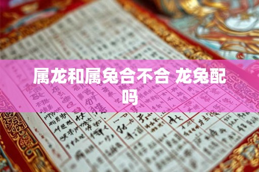 属龙和属兔合不合 龙兔配吗