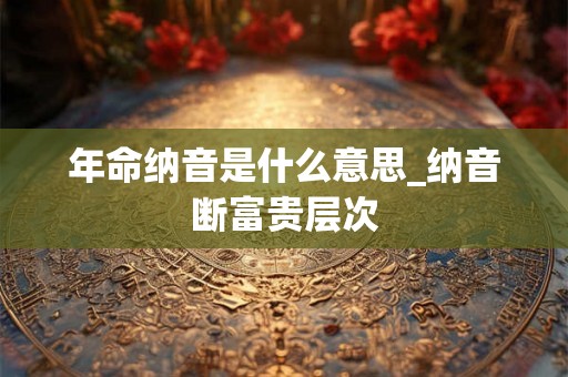 年命纳音是什么意思_纳音断富贵层次