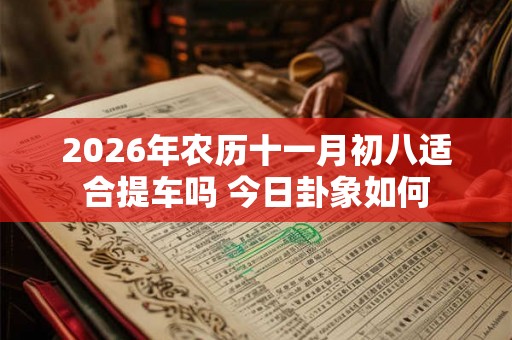 2026年农历十一月初八适合提车吗 今日卦象如何