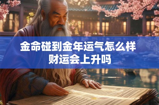 金命碰到金年运气怎么样 财运会上升吗