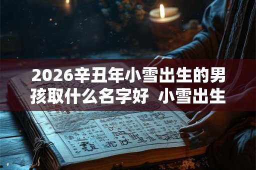 2026辛丑年小雪出生的男孩取什么名字好  小雪出生的男宝宝名字