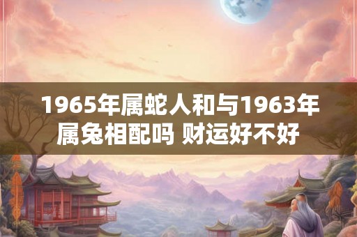 1965年属蛇人和与1963年属兔相配吗 财运好不好