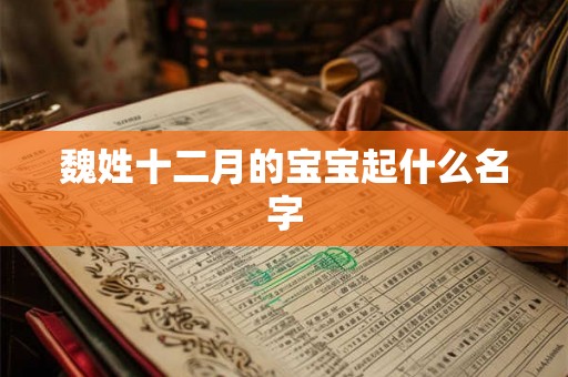 魏姓十二月的宝宝起什么名字