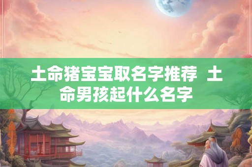 土命猪宝宝取名字推荐  土命男孩起什么名字