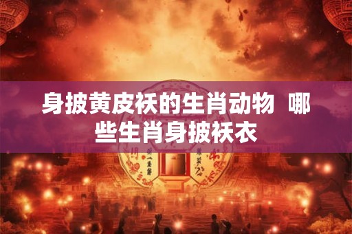 身披黄皮袄的生肖动物 哪些生肖身披袄衣 身披黄皮袄的生肖动物 哪些生肖身披袄衣