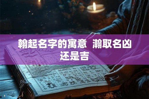 翰起名字的寓意  瀚取名凶还是吉