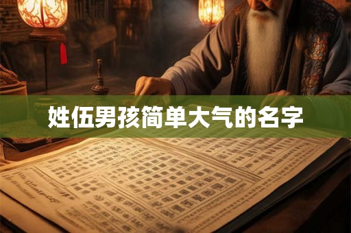 姓伍男孩简单大气的名字